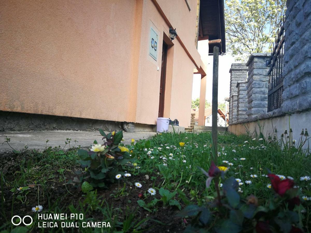 Apartment Neo Bihać エクステリア 写真